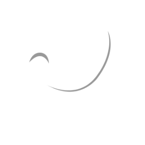 Laragon Logo